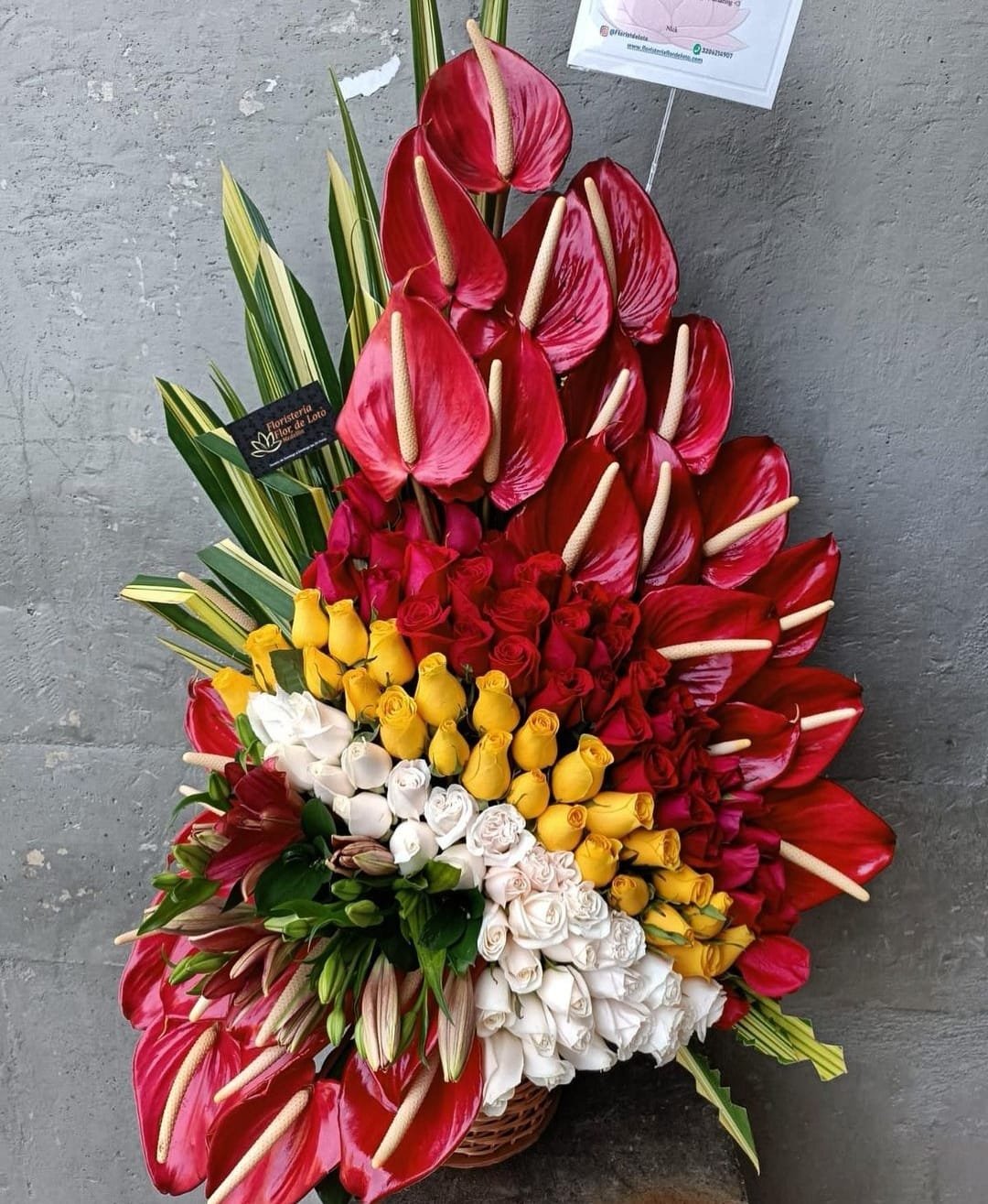 floristeria en medellin.